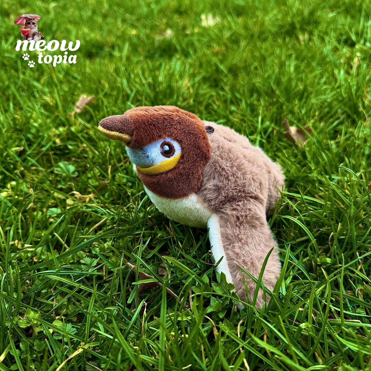 Jouet interactif MeowBird - Jouet pour chat avec capteur de mouvement