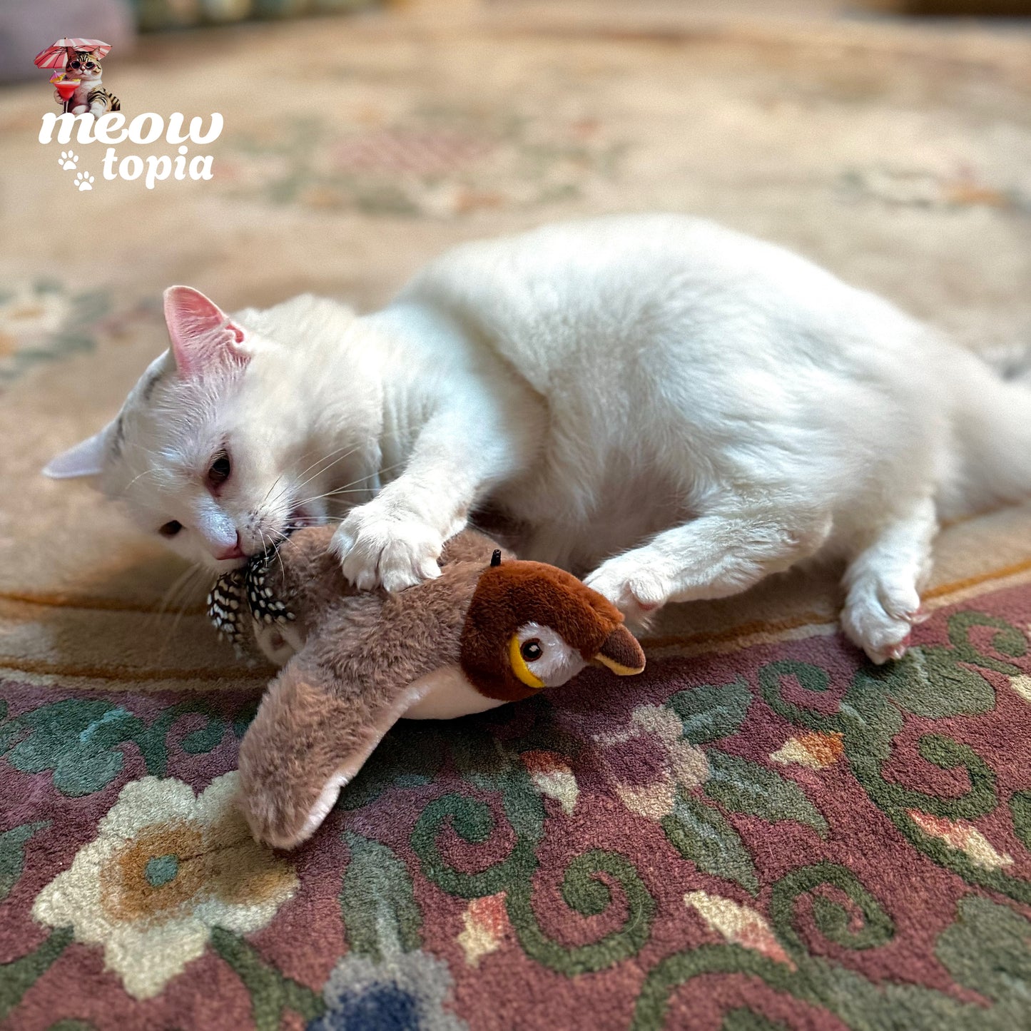 Jouet interactif MeowBird - Jouet pour chat avec capteur de mouvement