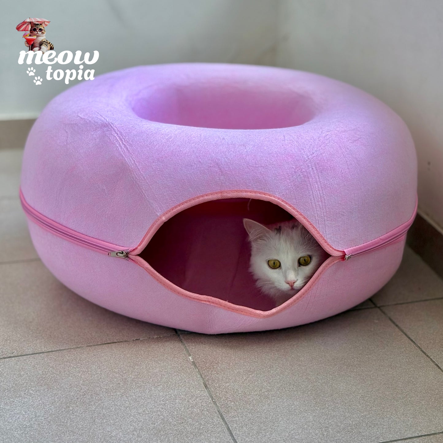 MeowTunnel interactif - Lit écologique avec griffoir