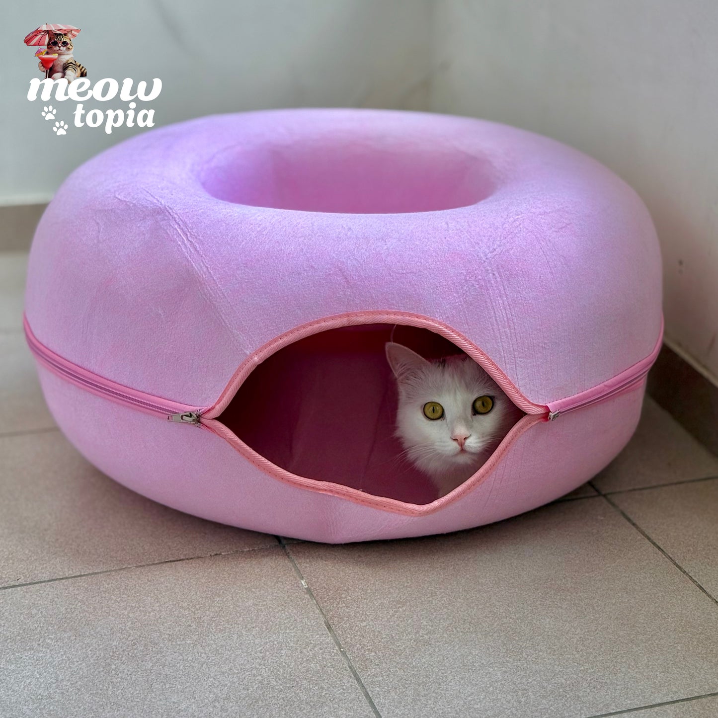 MeowTunnel interactif - Lit écologique avec griffoir