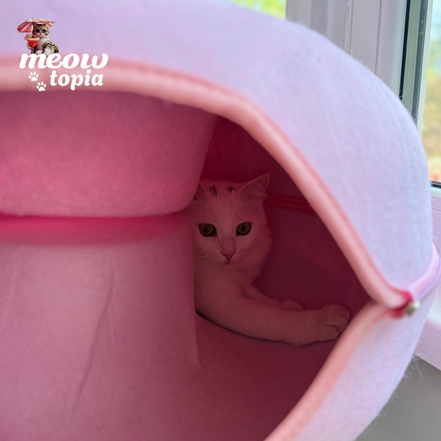 MeowTunnel interactif - Lit écologique avec griffoir