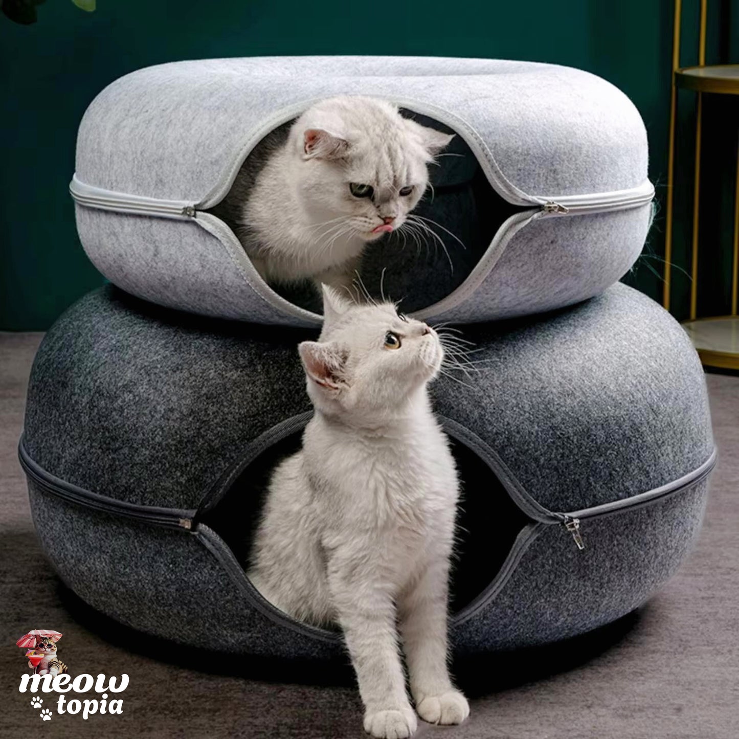 MeowTunnel interactif - Lit écologique avec griffoir